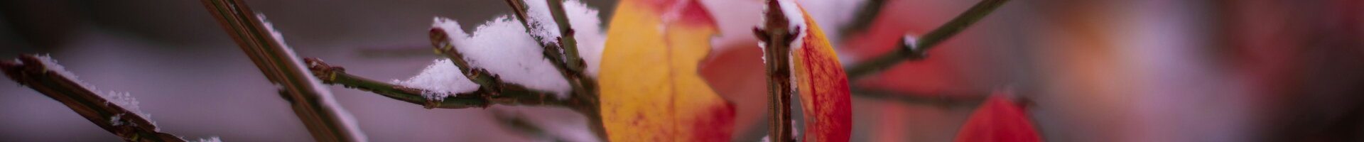 . .. aj v zime buduj bez obmedzení